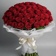 Букет 101 Красная роза Блэк Мэджик в Ростошах