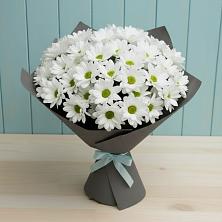 Букет цветов из:  Хризантемы в Ростошах