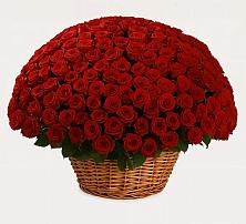 Премиум букет из: Розы в Ростошах