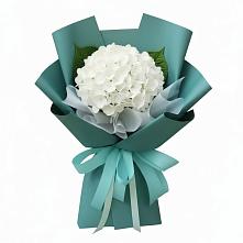 Букет цветов из:  Гортензия #REPLACE_PRED# Ростошах